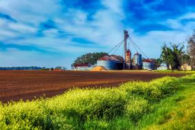 picturesque fields on American farms