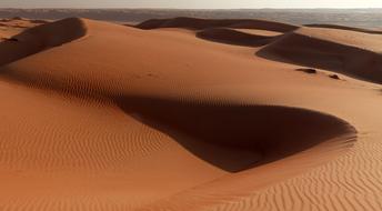 splendid Desert Dune
