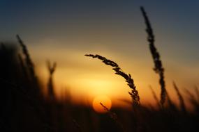 incredibly beautiful Sunset Nature