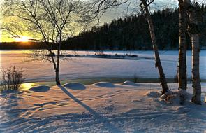 Landscape of Winter Nature field and forest