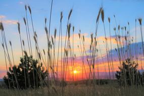 incredible Sunset Nature Sky