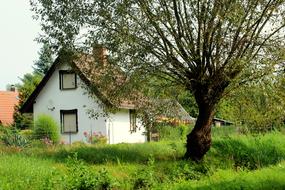 Village Cottage House