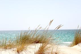 amazing Beach Sea