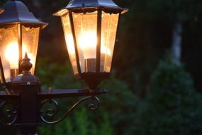 lanterns in the city park close up