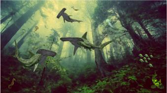forest submerged shark drawing