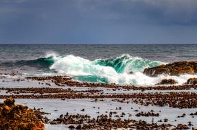magnificent Ocean