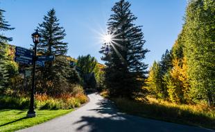 splendid Foliage Vail Colorado