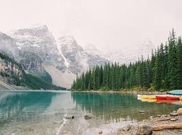 spruce forest near the lake against the backdrop of rocky mountains