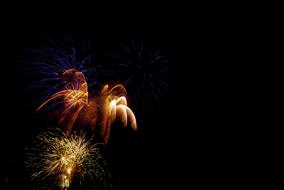 scenic bright Fireworks at darkness