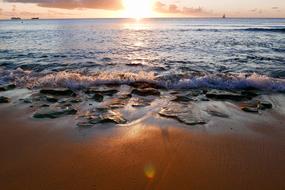 romantic seaside in barbados