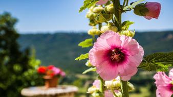 Moustiers-Sainte-Marie