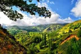 panorama of green mountains in the Caucasus