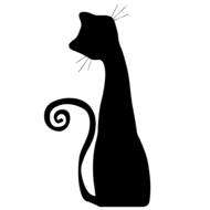 black silhouette of a cat on a transparent background