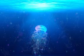 Jellyfish Fantasy blue