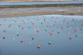 lot of colorful Mooring Buoys on water