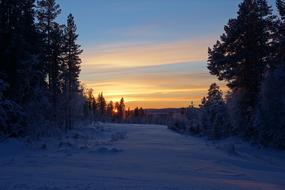 splendid Sunset Snow Winter
