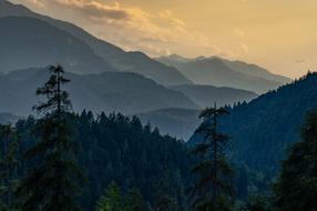 splendid Mountains Trees Nature