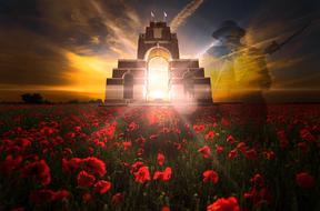 poppies as a symbol of memory