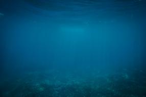 Underwater Blue