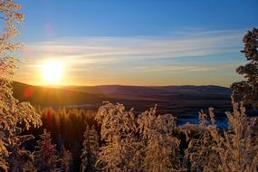 photo of a snowy forest at dawn in Lapland