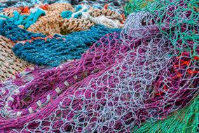 Net Fishing colorful