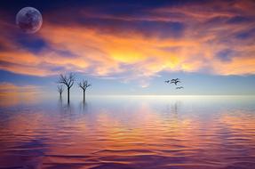 Still Calm Tranquil ocean