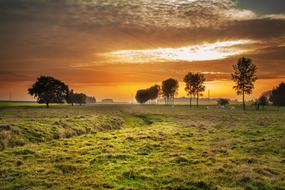 Beautiful, foggy landscape with the trees and fields in the countryside, at colorful sunset