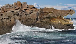 image of a crocodile rock in the ocean