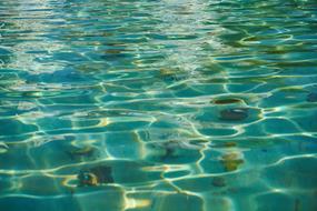 enchanting Wave Marine