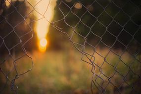 hole in the fence close-up on a blurred background