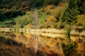 landscape of incredible Lake Bank in a Forest