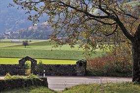 green fields on the shore of Lake Dusia in Switzerland