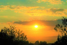 Beautiful landscape with the silhouettes of the plants, at beautiful and colorful sunset, in the evening, with the clouds