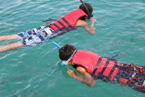 Swim Sea