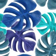 leaves tropical blue