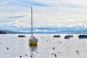 sailing boats on a lake in Zurich