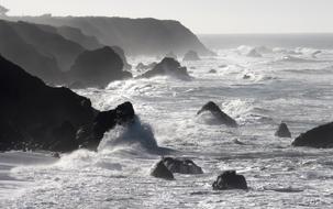 amazing Seacoast Waves
