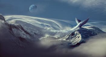 amazing Nature Ocean