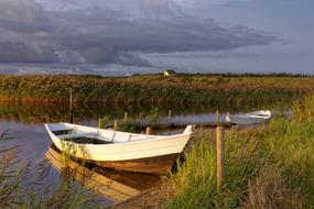 boat on the north sea coast in denmark