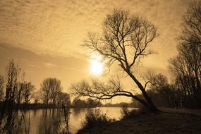 incredible River Banks View
