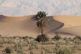 Jordan Desert