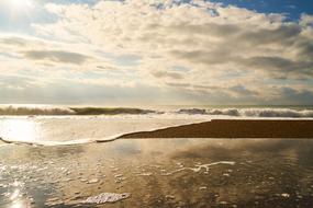 wonderful Marine Ocean