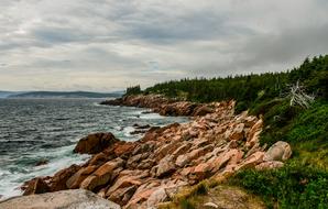 rocky coast near the sea in canada