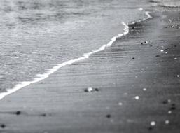black and white picture of seashore
