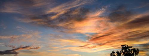 Beautiful and colorful sky, with the sunrise, among the clouds, under the tree