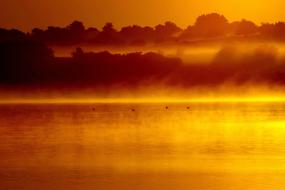 Mist Sea Dawn