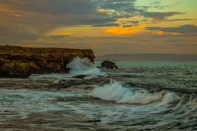 splendid Coast Waves