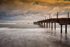 sea jetty and flock of seabirds