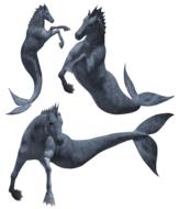 seahorse monsters