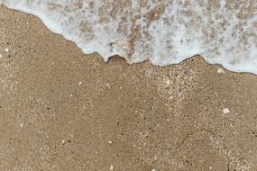 foamy wave on sandy beach